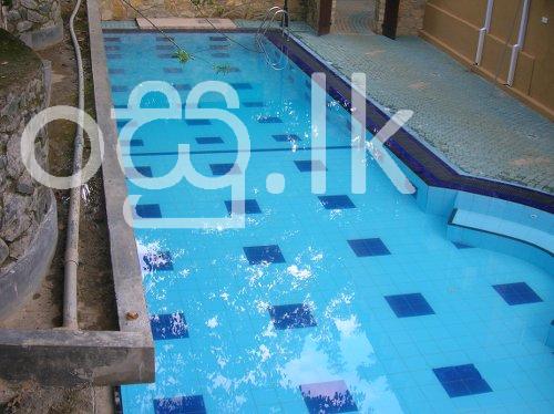 Swimming pool construction in Sri Lanka Building Material & Tools in Colombo 8