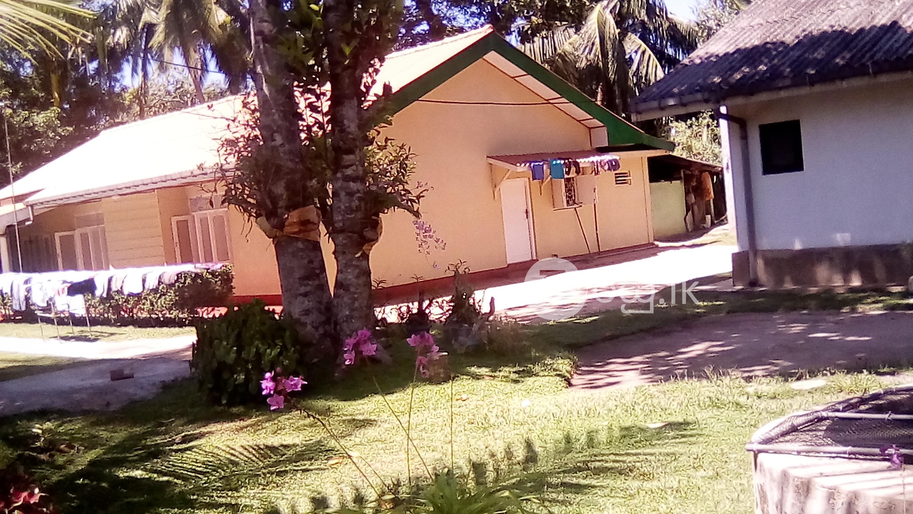 Land with two houses  Welikadamulla Houses in Ambalangoda