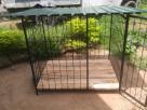 Dog Cage ( Steel ) Animal Accessories in Maharagama