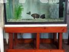 3ft fish tank complete set Animal Accessories in Colombo 6