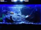3 Feet Fish Tank Animal Accessories in Mawanella