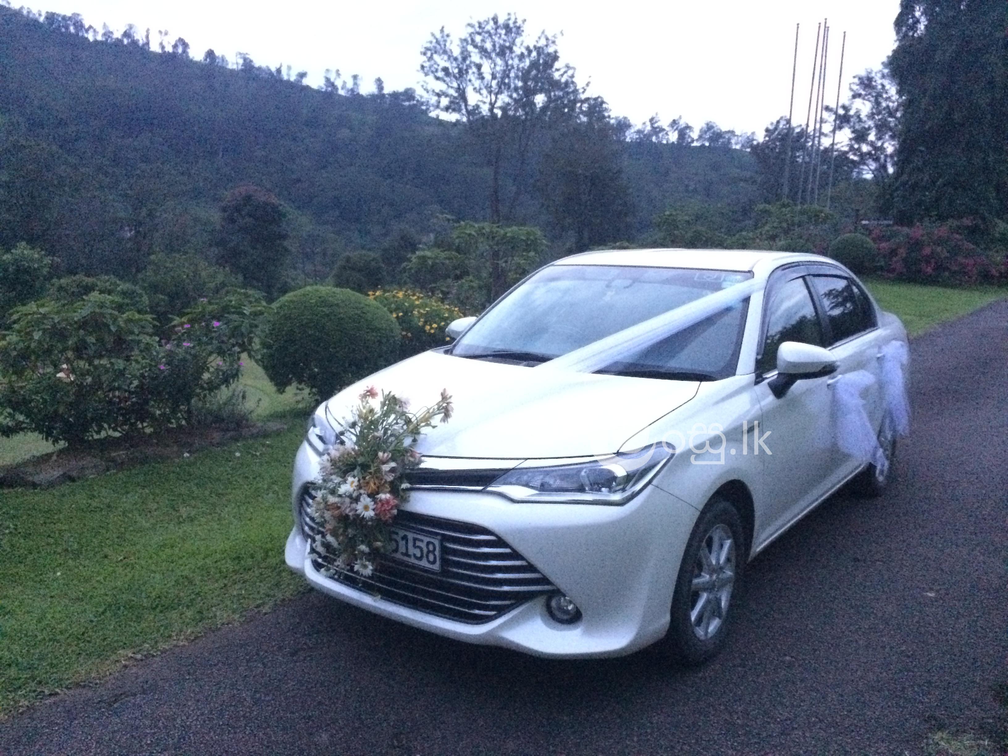 Wedding and Home coming cars Auto Services in Kandy