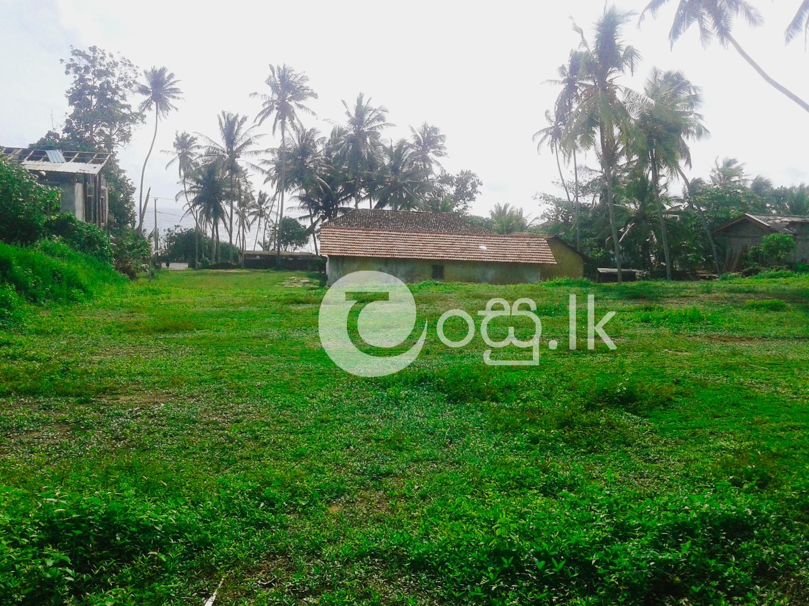 Sea Faced Land for Sale   Balapitiya Land in Ambalangoda