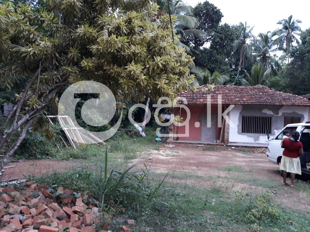 Urgent Sale For Land In Mirigama Land in Mirigama