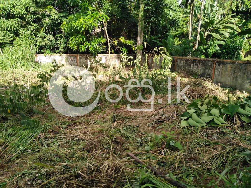 7 Perch Land For Sale in Hokandara North Land in Kottawa
