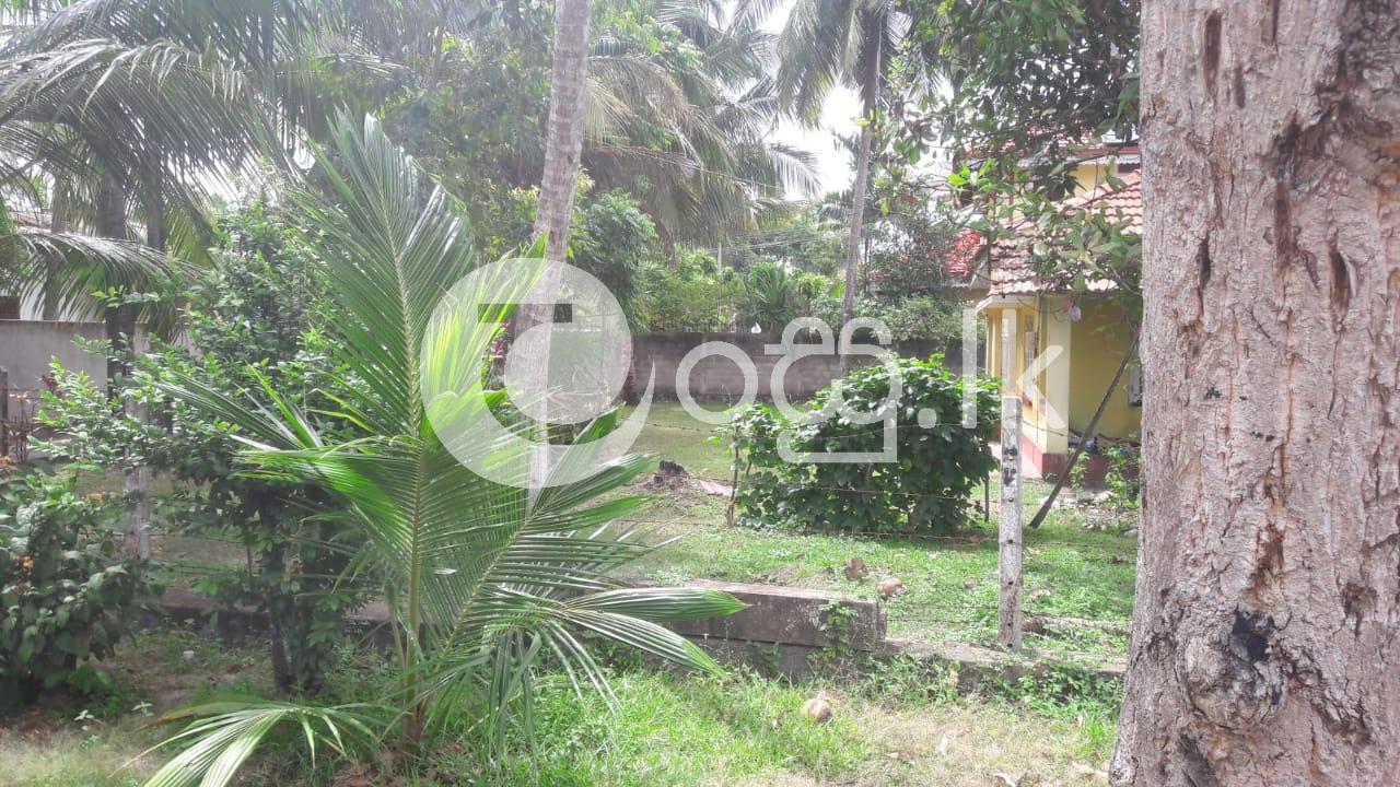 Old House and Land for sale in Seeduwa Houses in Negombo