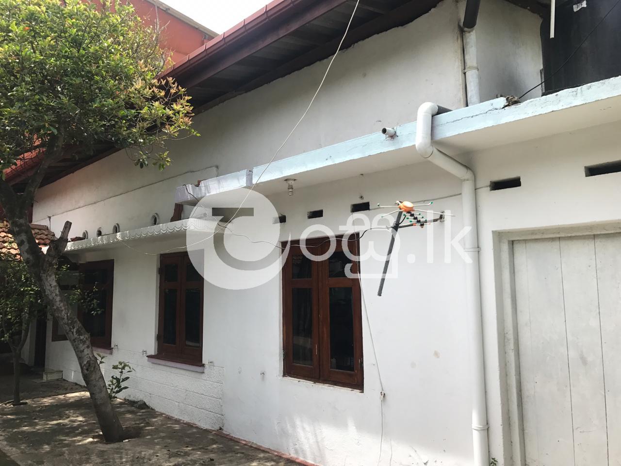 House for rent in wattala2 Houses in Wattala
