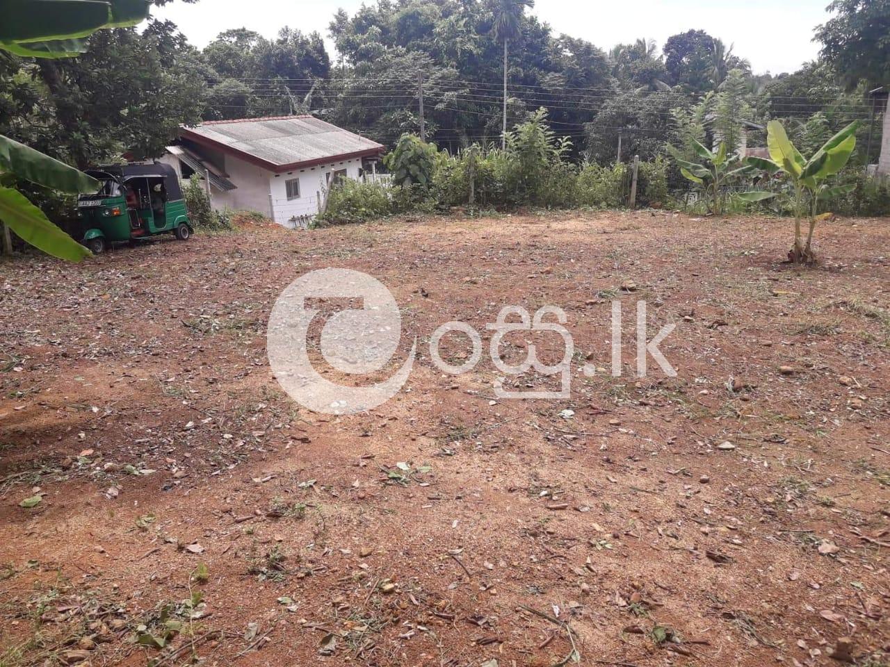 Prime Residential Land for Sale in Homagama Land in Homagama