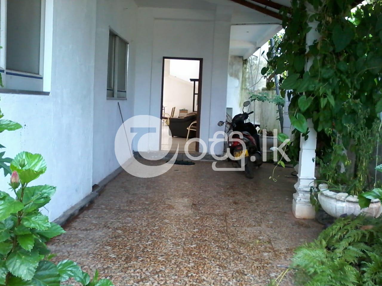 Downstairs Completed House for Sale in Ja Ela Houses in Ja Ela