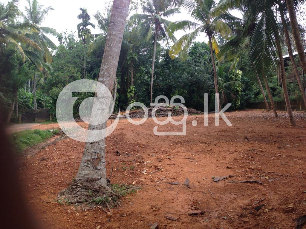 Land For Sale Habaraduwa Galle Land in Galle
