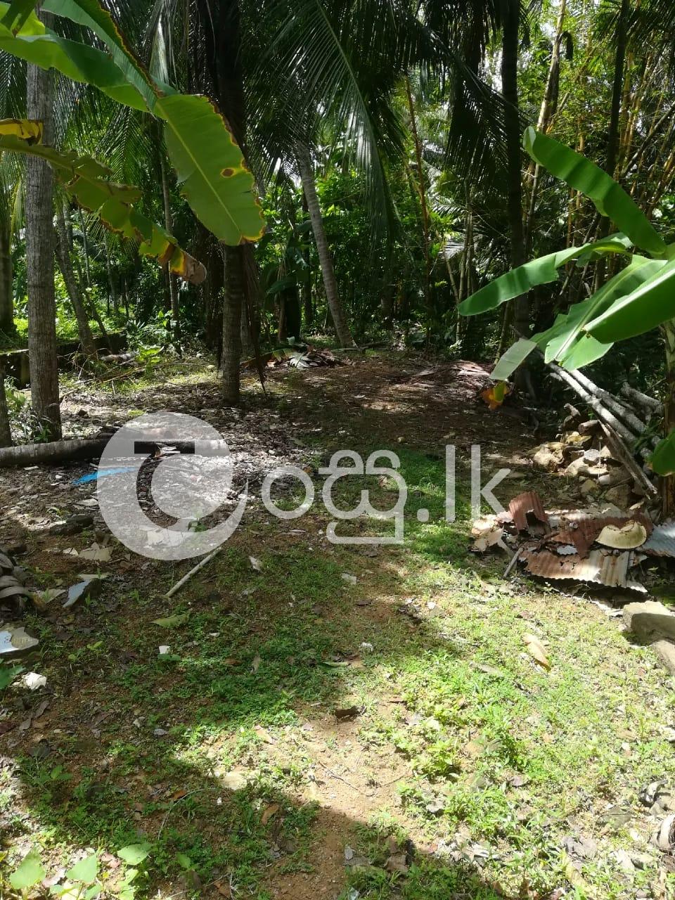 Land for Sale in   Galle Land in Galle