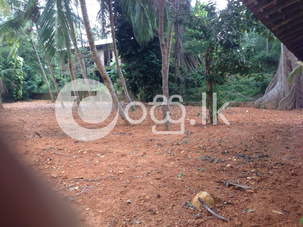 Land For Sale Habaraduwa Galle Land in Galle