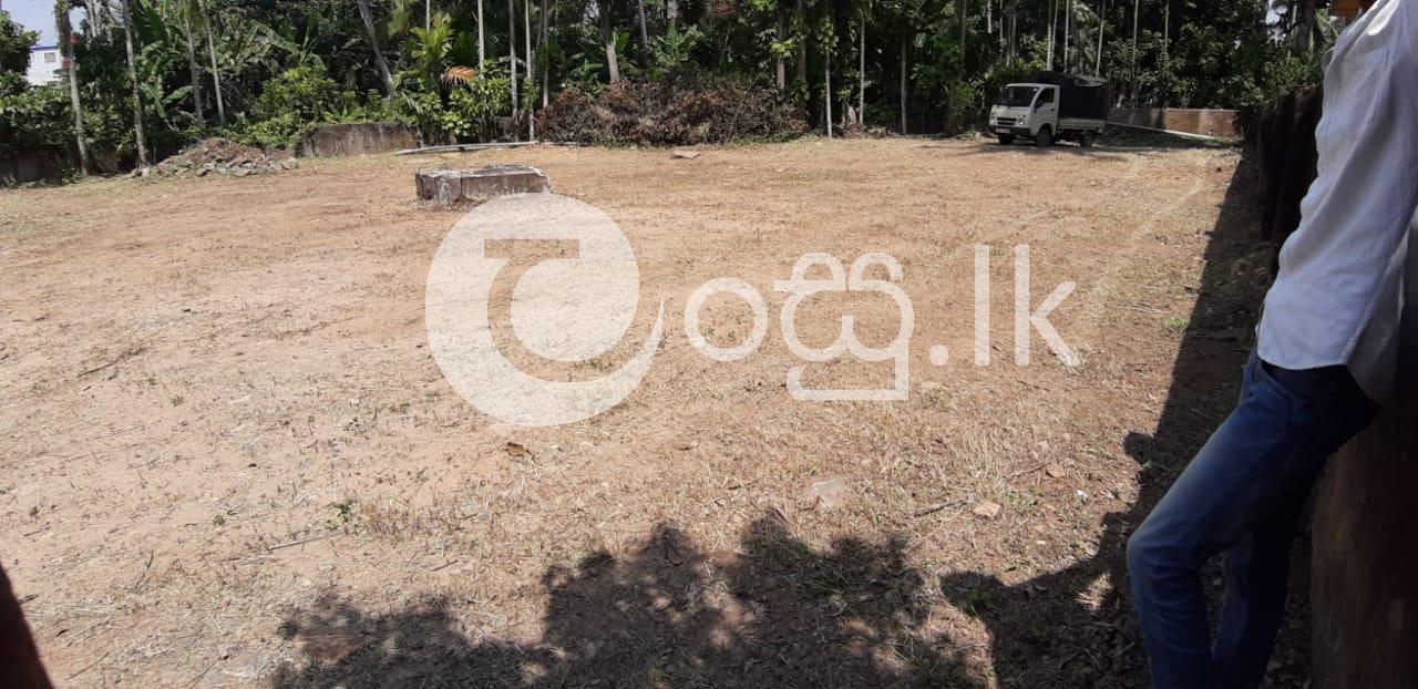 Land for sale in Galle Land in Galle