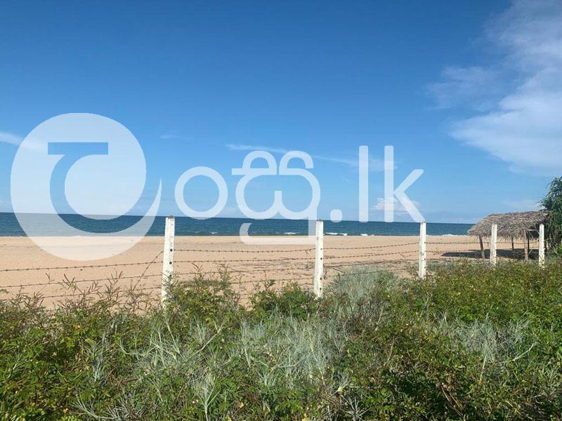 Beach Front Valuable Land  Land in Trincomalee