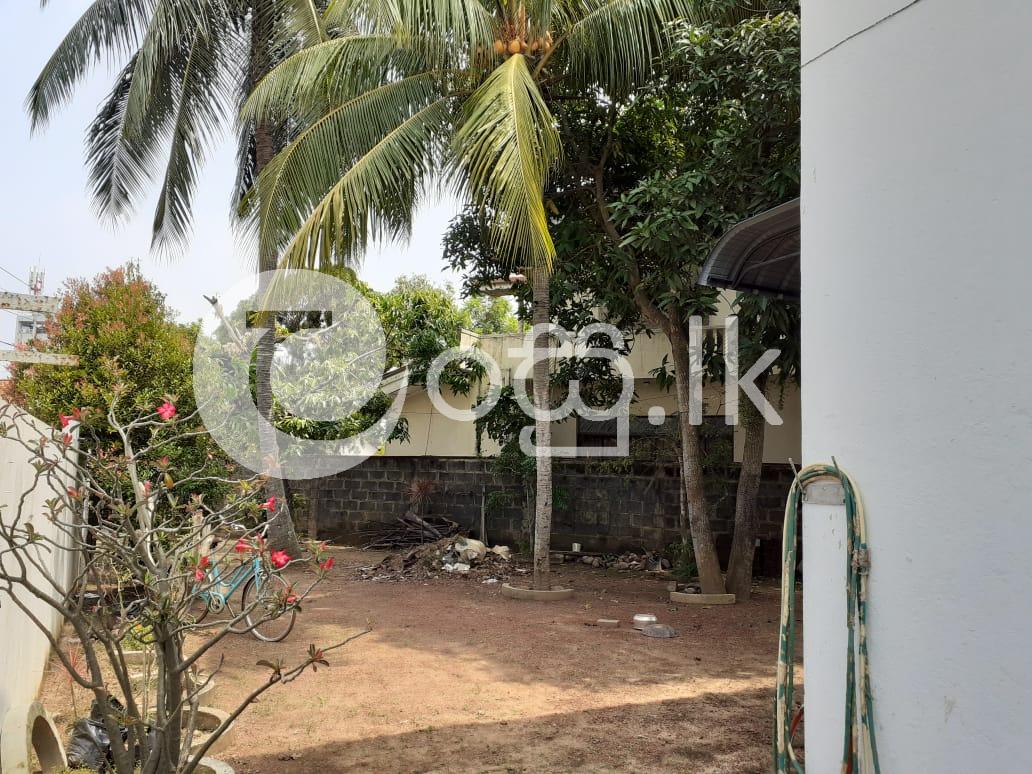 Fully Furnished Beautiful Two Storied House Houses in Negombo