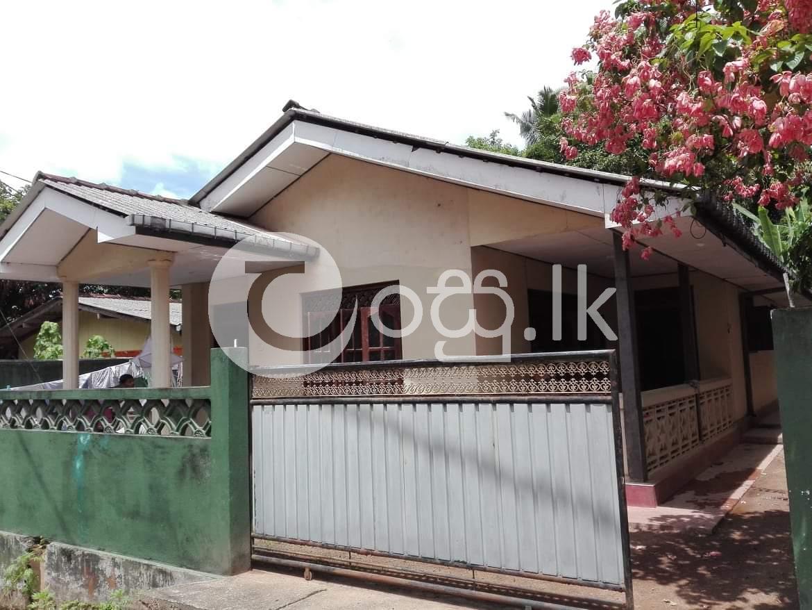 House for sale in Alubomulla Houses in Panadura