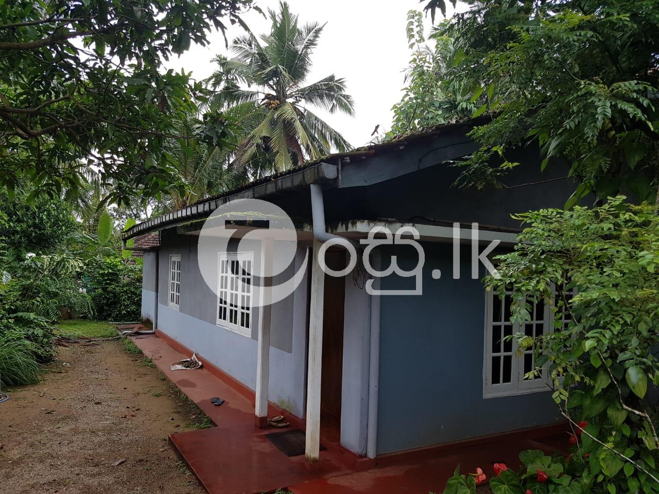 20 Perch land with House for Sale in Homagama Land in Homagama