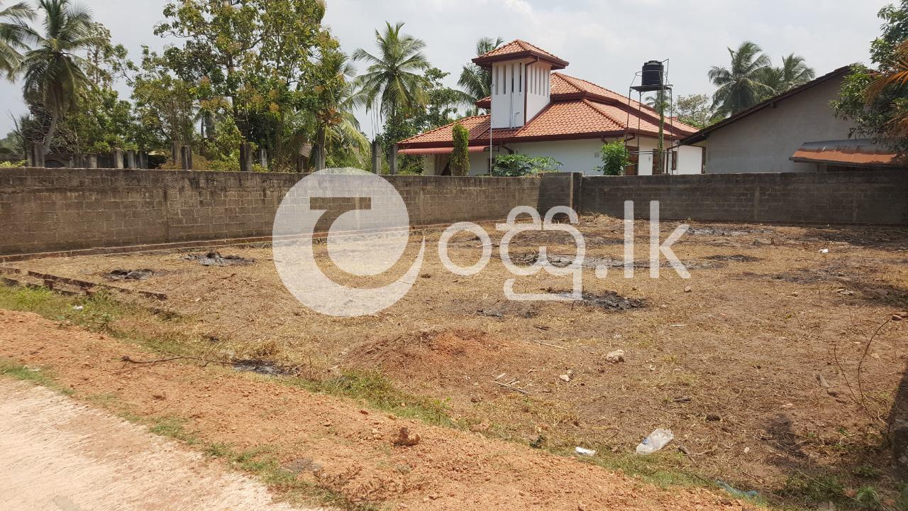 Land for sell in Katuwapitiya Land in Negombo