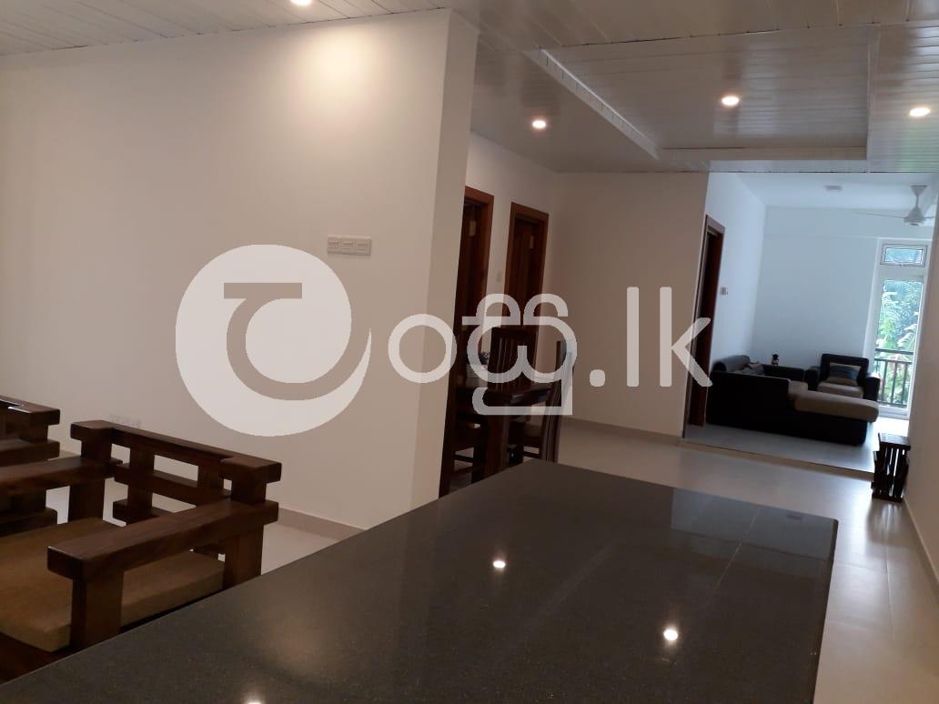 Annex for Rent in Kandy Apartments in Kandy