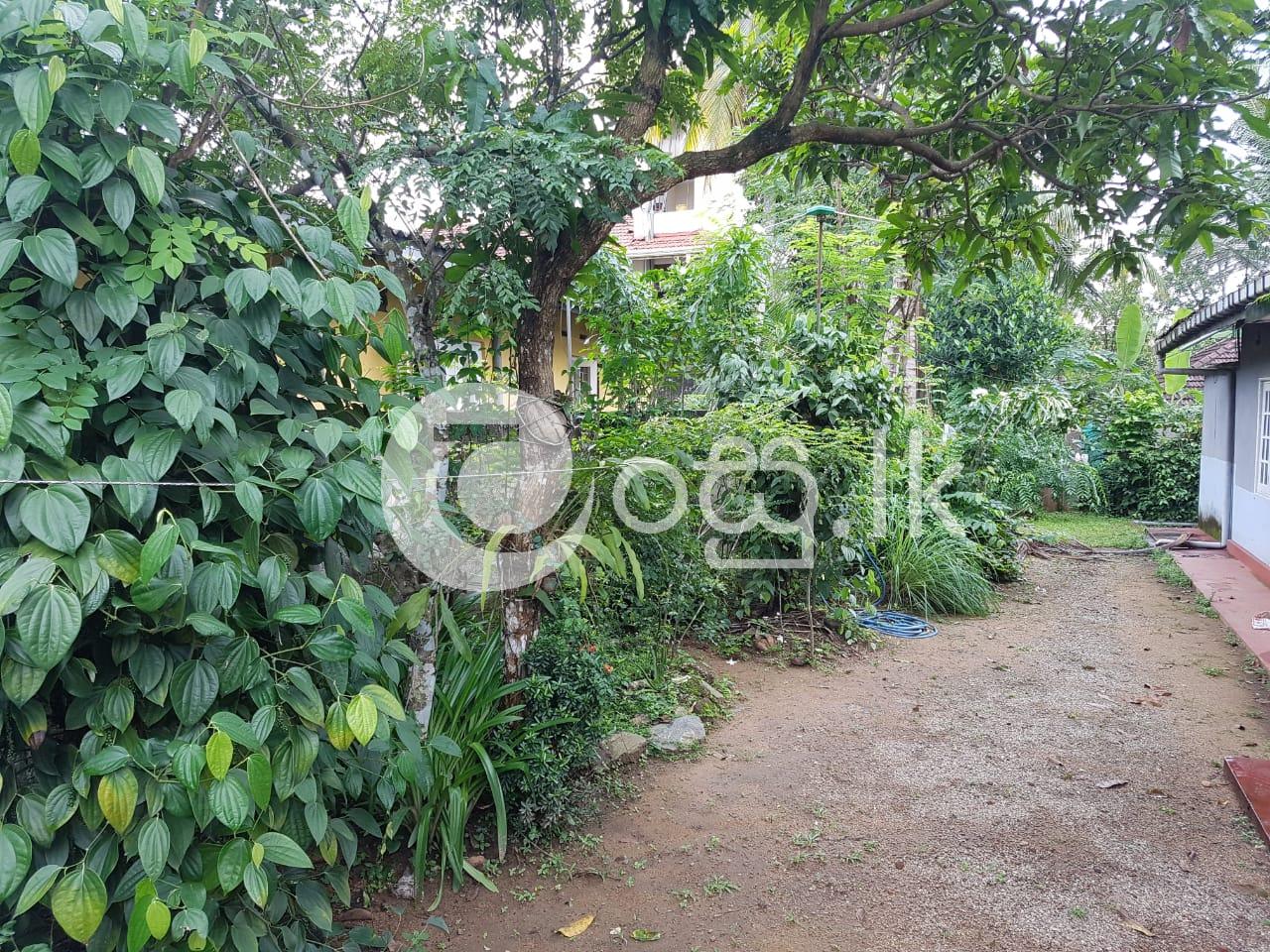 20 Perch land with House for Sale in Homagama Land in Homagama