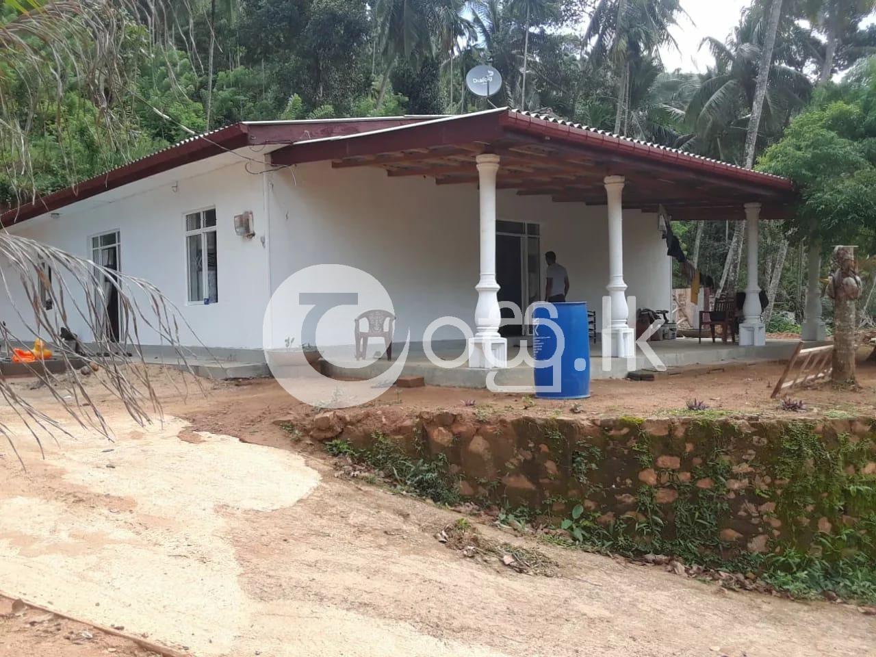 Beautiful Designed Tranquility Single Storied House For Sale In Matale 