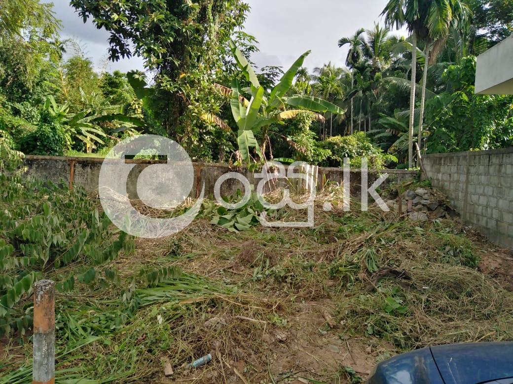 7 Perch Land For Sale in Hokandara North Land in Kottawa