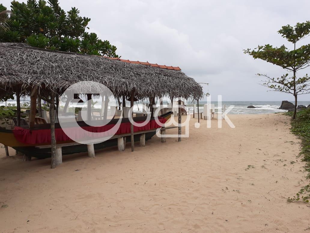 Beachfront Restaurant for Rent in Ahungalla  Sri Lanka Holiday and Short Term Rental in Benthota