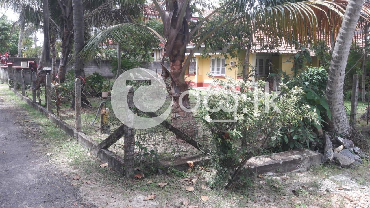 Old House and Land for sale in Seeduwa Houses in Negombo