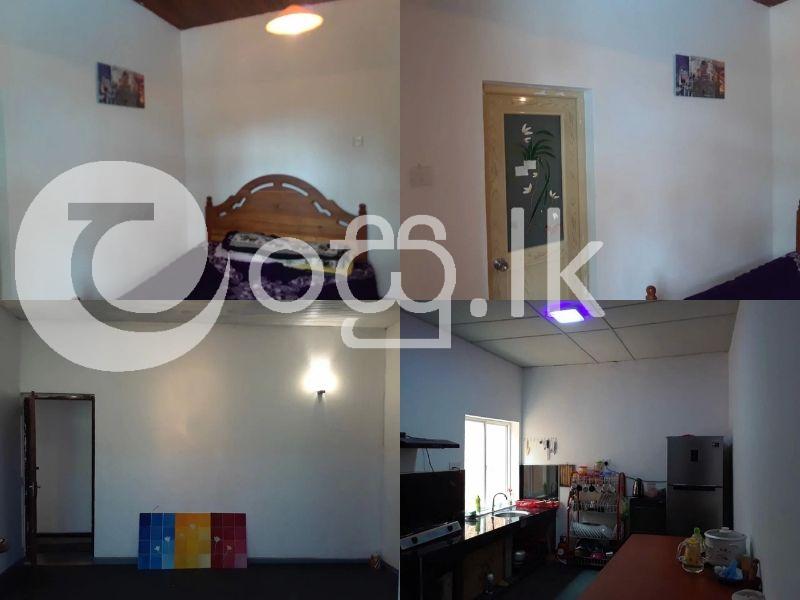 Beautiful Designed Tranquility Single Storied House for Sale in Matale Houses in Matale