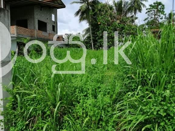10p Land For sale In Ranmuthugala  Kadawatha Land in Kadawatha