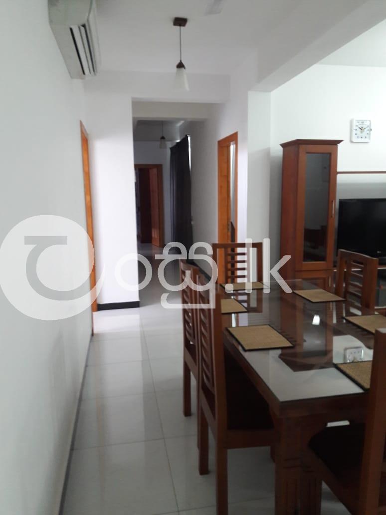 Fully Furnished Apartment  Apartments in Mount Lavinia