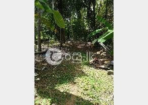 Land for Sale in   Galle in Galle
