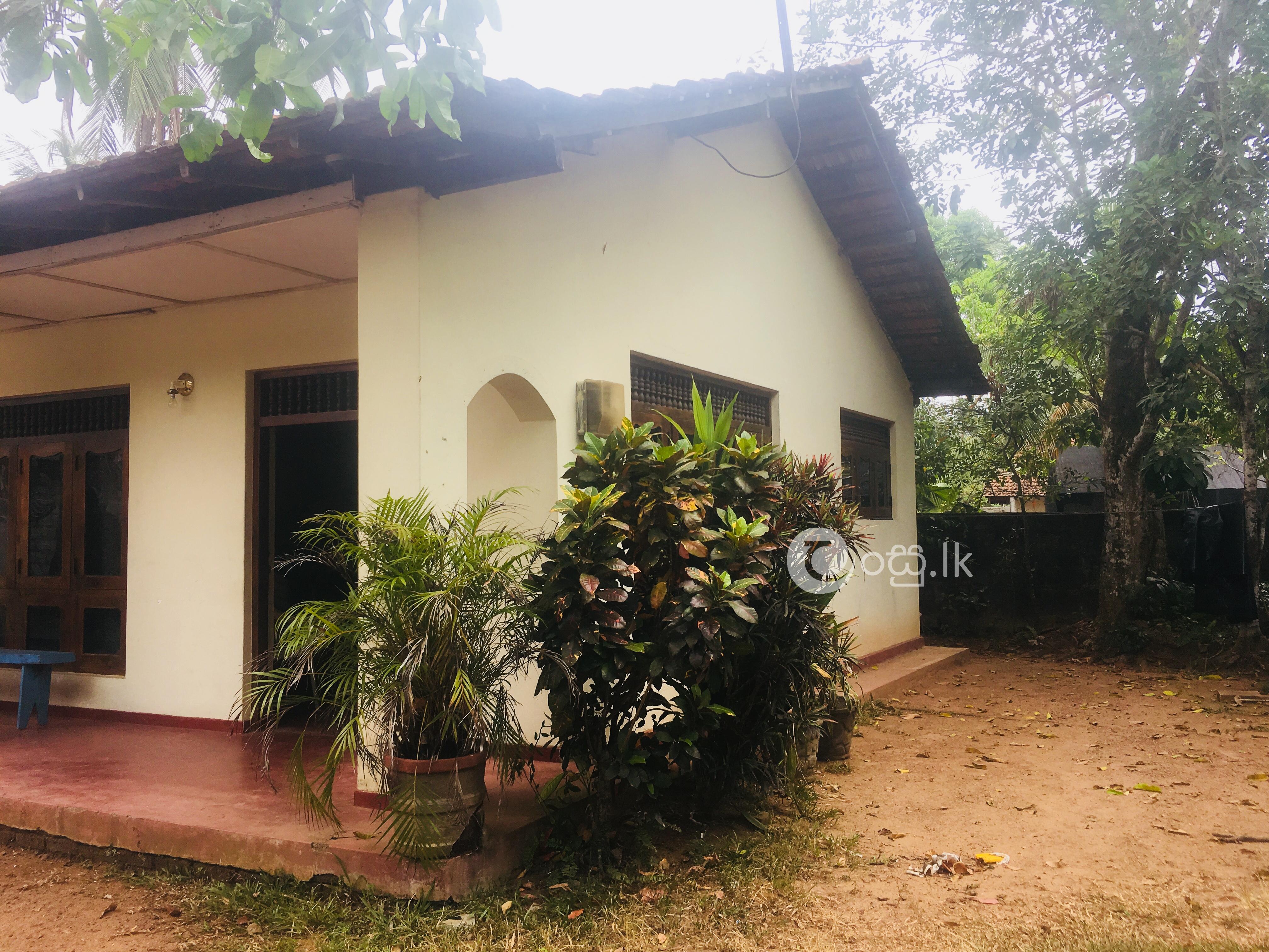 Rent a house  Houses in Kadawatha