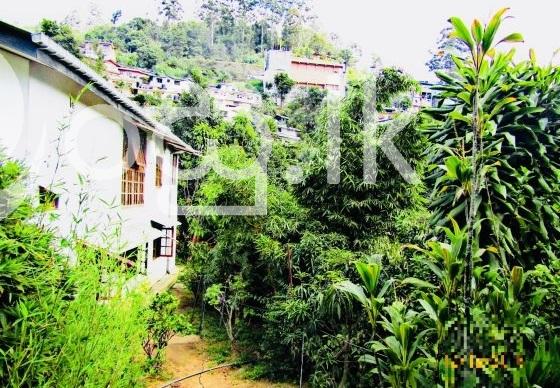 Two Storey House for Sale or Short Term Rent in Bandarawela Houses in Bandarawela