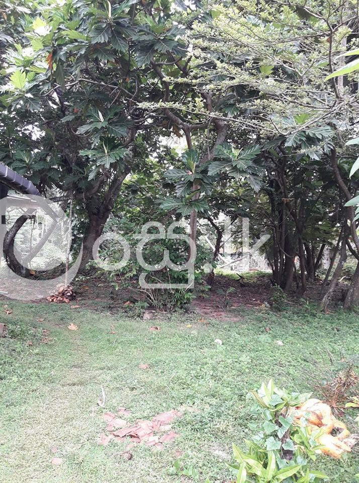 Land with house for sale in Wadduwa. Land in Wadduwa