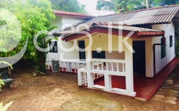 House for Rent in Panadura Houses in Panadura