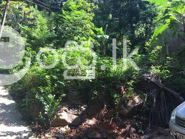 Land Sale in Kegalle Town. Land in Kegalle