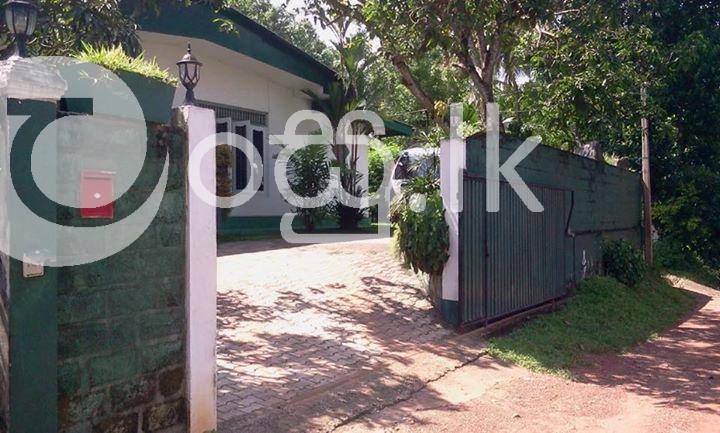 Land with house Houses in Kalutara