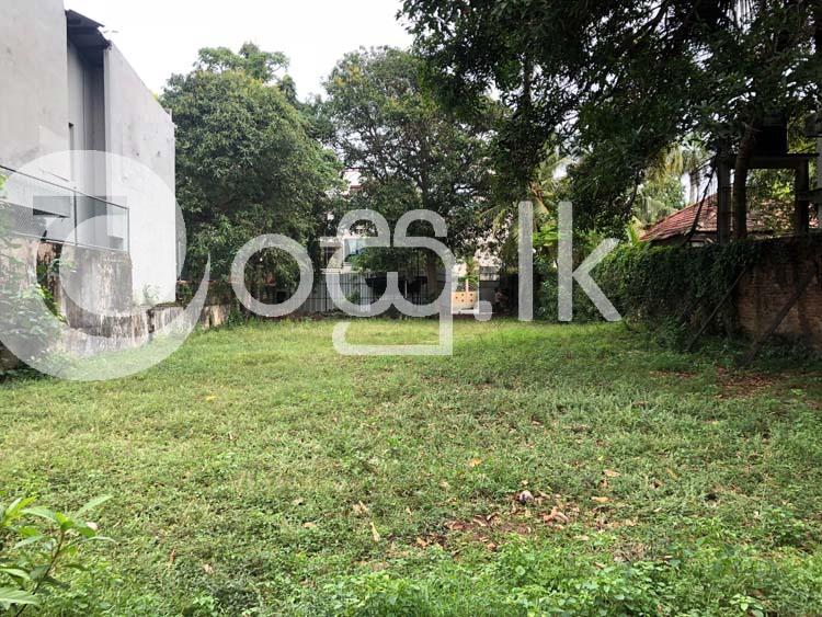 A Prime Property in Lauries Road  Colombo. Land in Colombo 4