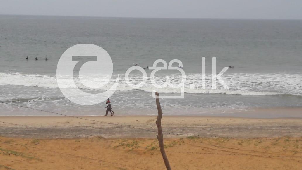 Beach front land for sale Land in Dehiwala