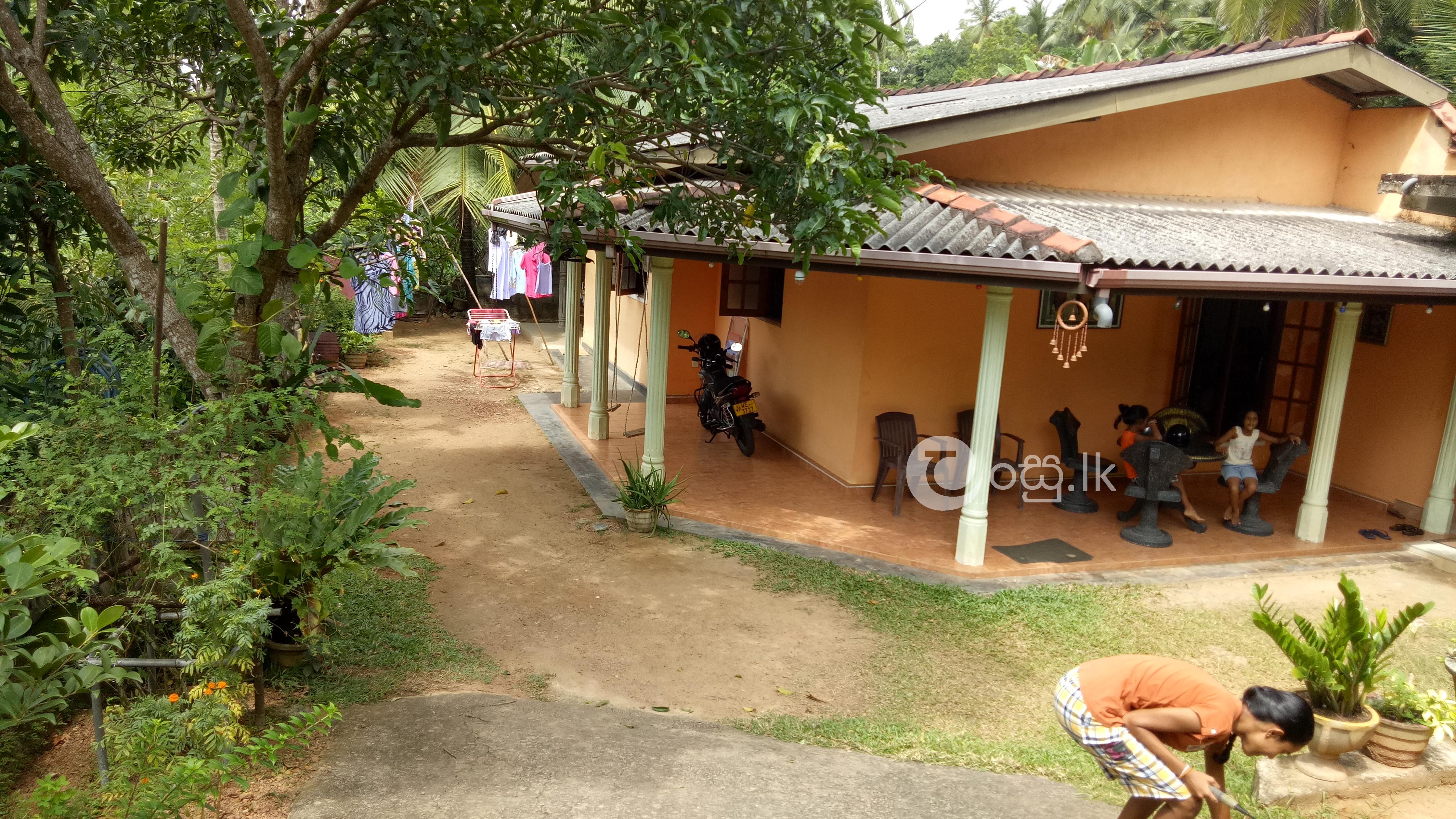 House with 15perchs  tube well  2km to Gampaha . Houses in Gampaha