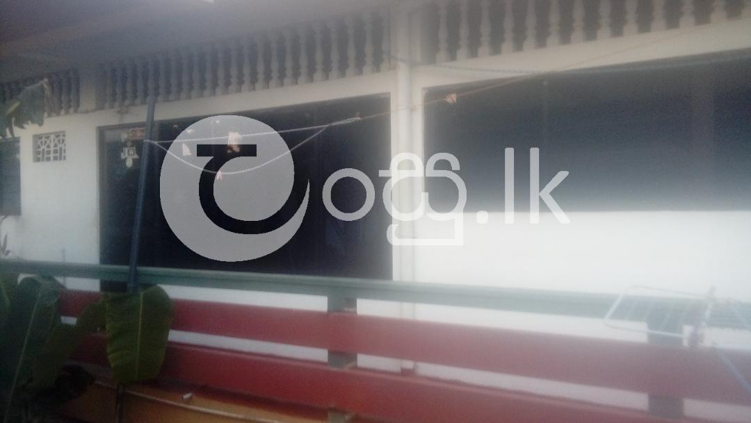 Annex House for Rent Mt.Lavinia Houses in Mount Lavinia