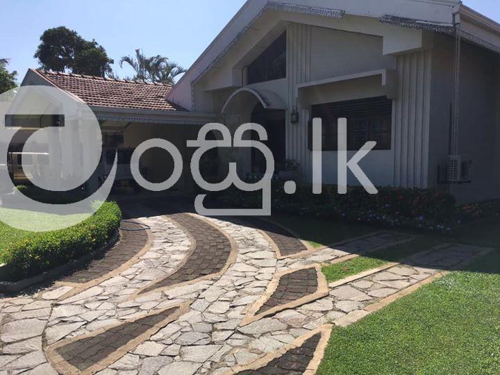 Luxury house for sale  Houses in Negombo