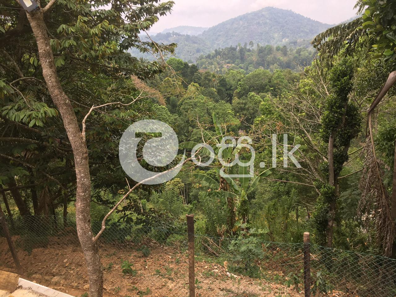 Land for sale in Gampola Land in Gampola