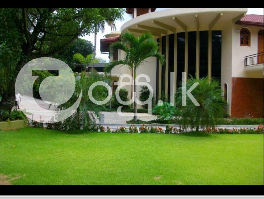 Landscaping and garden service Garden in Peradeniya