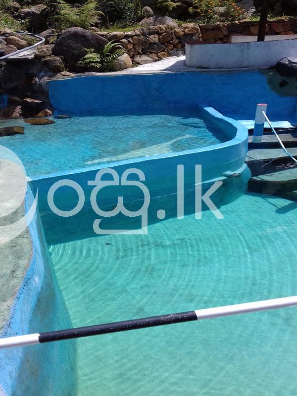 Beautiful Land with Bungalow for Sale in Haputhale Land in Haputhale