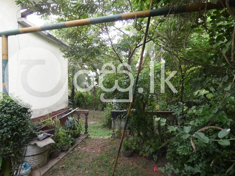 Valuable Land with House for Sale in IDH New Town Land in Kolonnawa