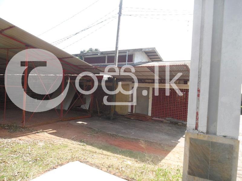 Commercial Building Rent   Lease in Ragama Commercial Property in Ragama