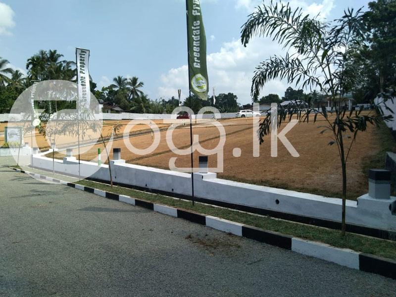 Valuable Land for Sale in Meepe Land in Padukka