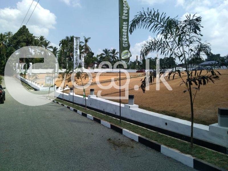 Valuable Land for Sale in Meepe Land in Padukka